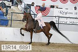 13r14_6891 proof