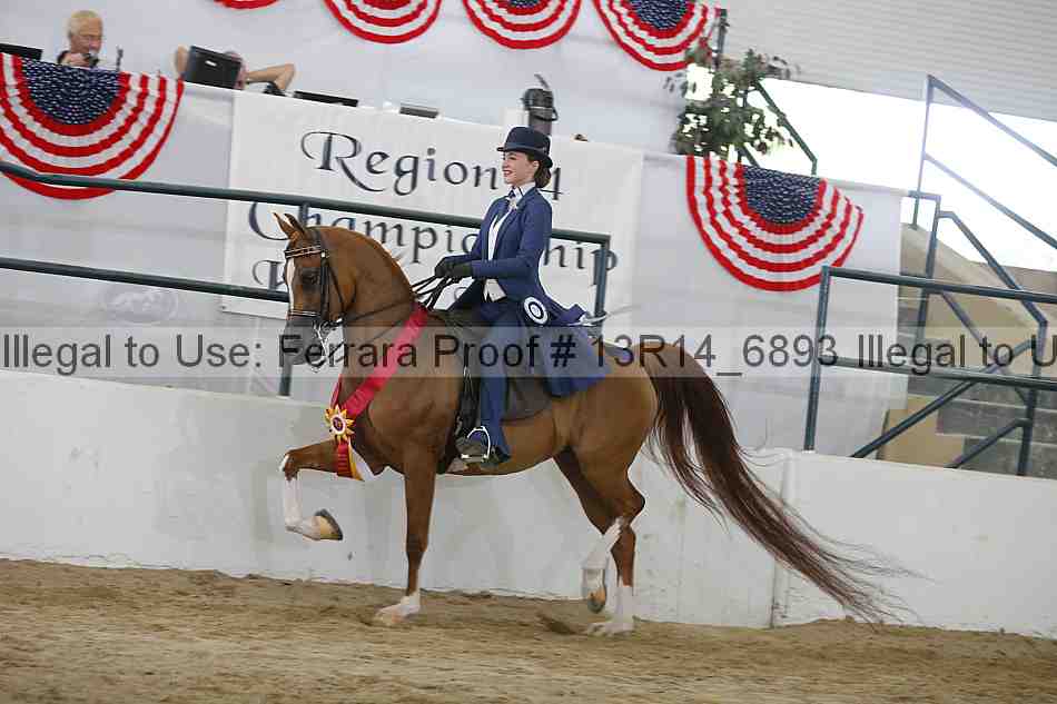Proof 13r14_6893