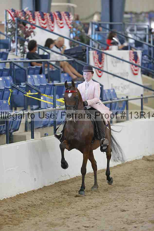 Proof 13r14_6894