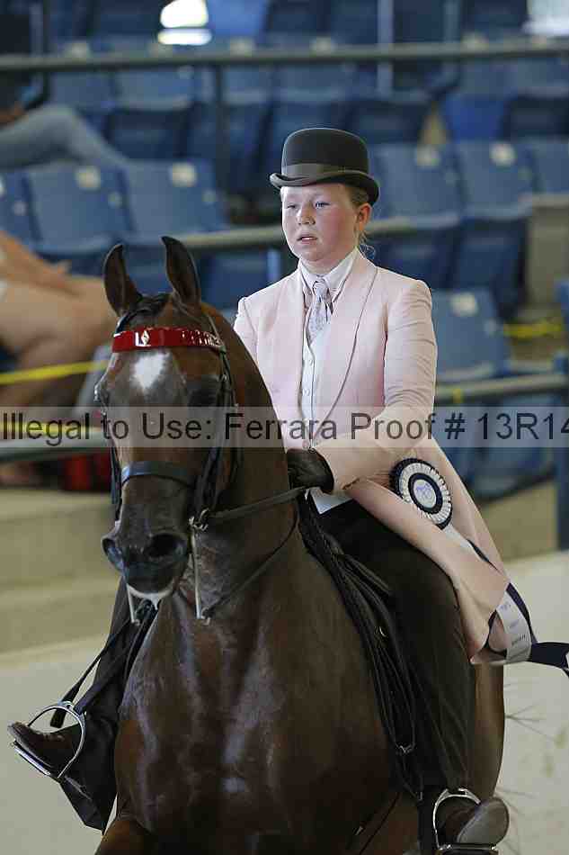 Proof 13r14_6895