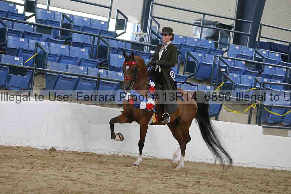 Proof 13r14_6896