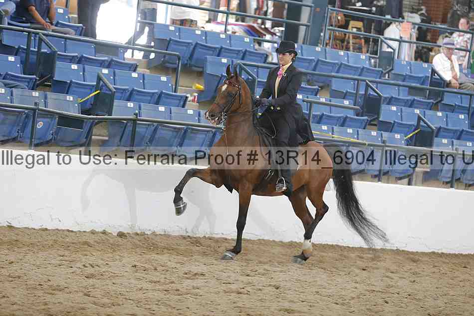 Proof 13r14_6904