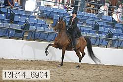13r14_6904 proof