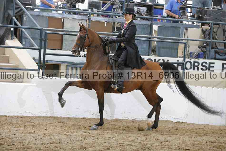 Proof 13r14_6906