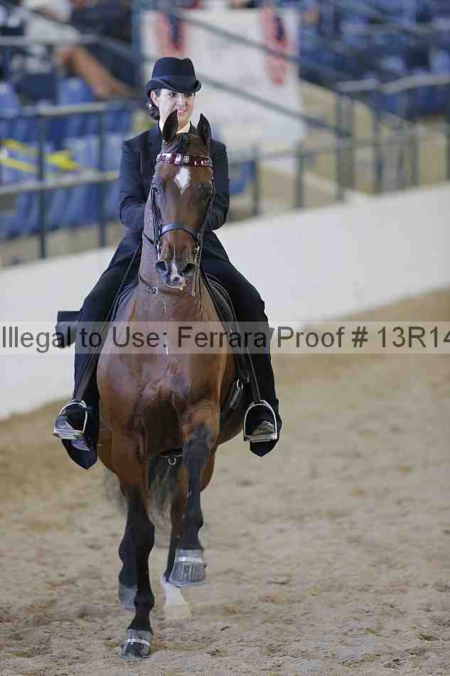 Proof 13r14_6907