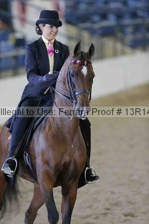 Proof 13r14_6908