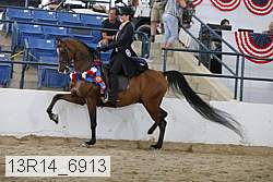13r14_6913 proof