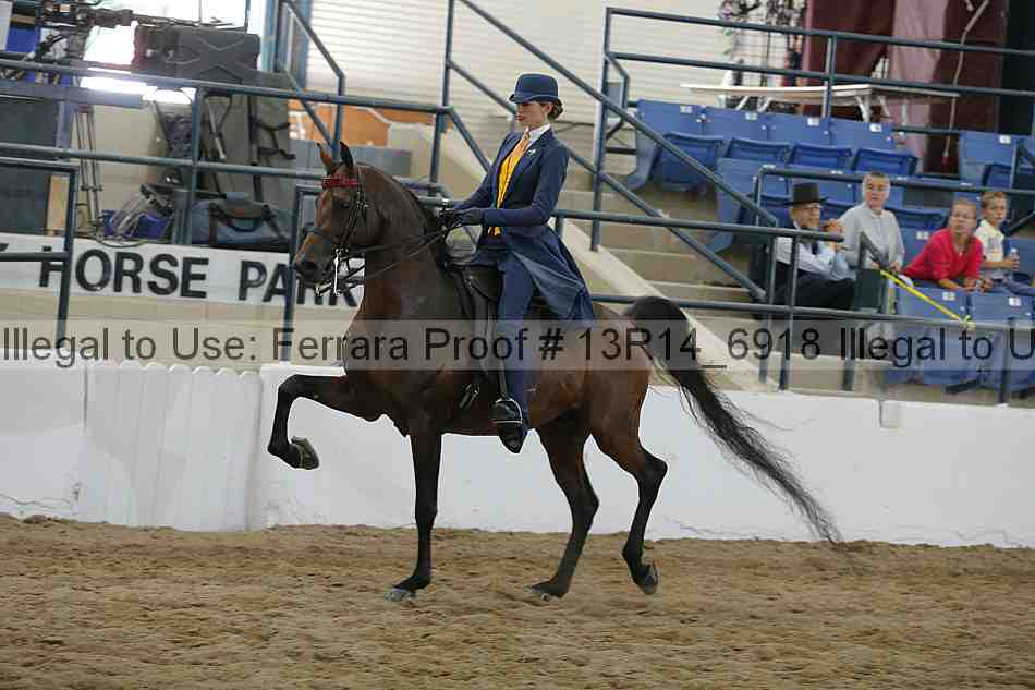 Proof 13r14_6918