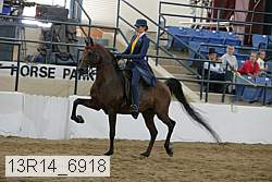 13r14_6918 proof