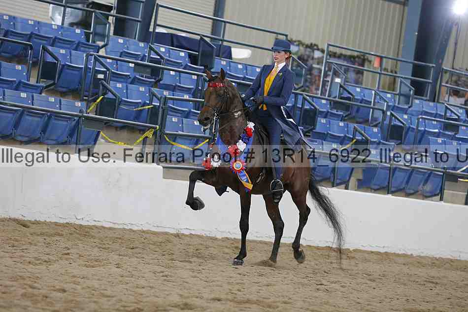 Proof 13r14_6922