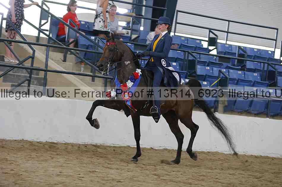 Proof 13r14_6923