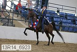 13r14_6923 proof