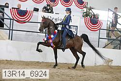 13r14_6924 proof