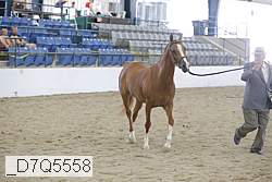 _d7q5558 proof