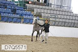 _d7q5571 proof