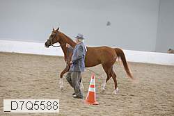 _d7q5588 proof