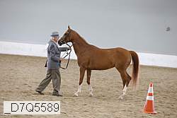 _d7q5589 proof