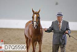 _d7q5590 proof