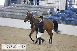 _d7q5607 proof