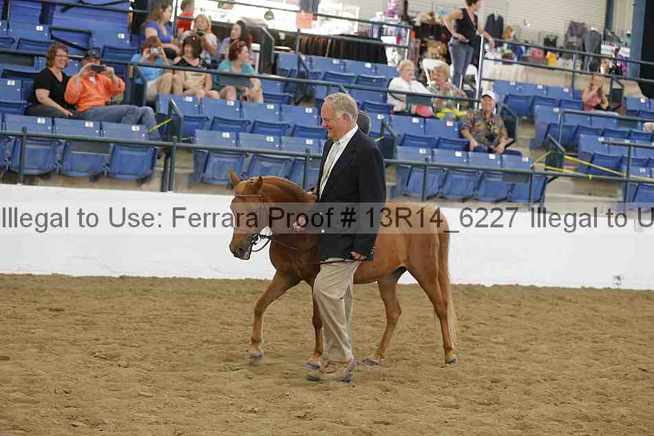 Proof 13r14_6227