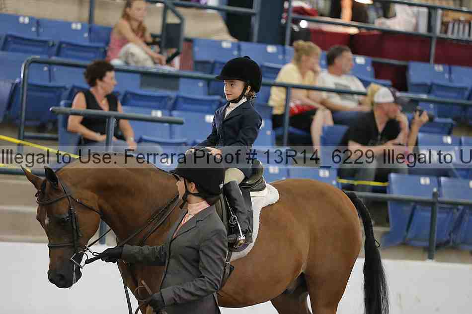 Proof 13r14_6229