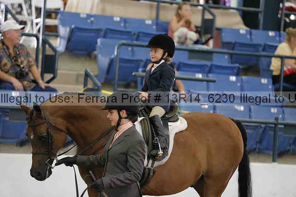 Proof 13r14_6230