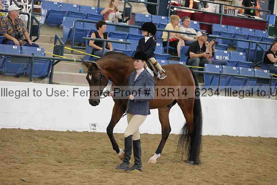 Proof 13r14_6234