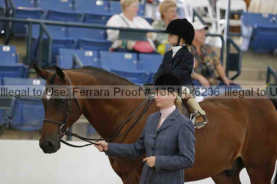 Proof 13r14_6236