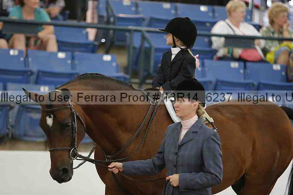 Proof 13r14_6237