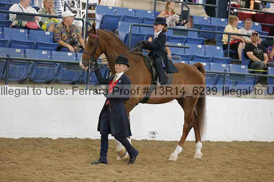 Proof 13r14_6239