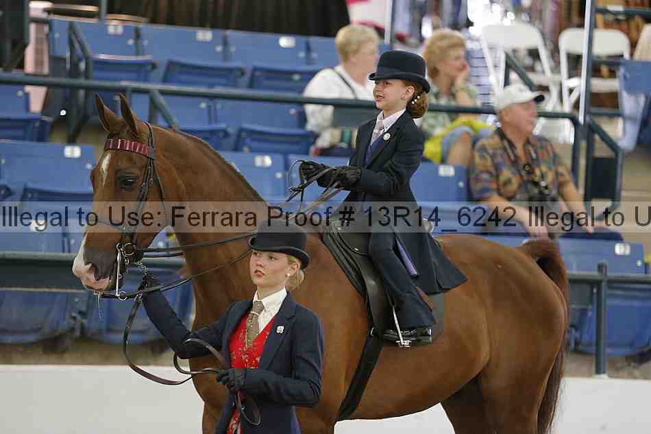 Proof 13r14_6242
