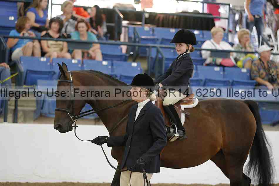 Proof 13r14_6250