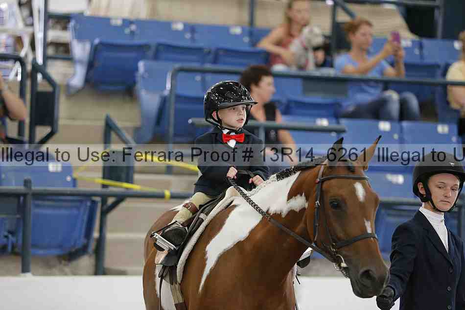 Proof 13r14_6261