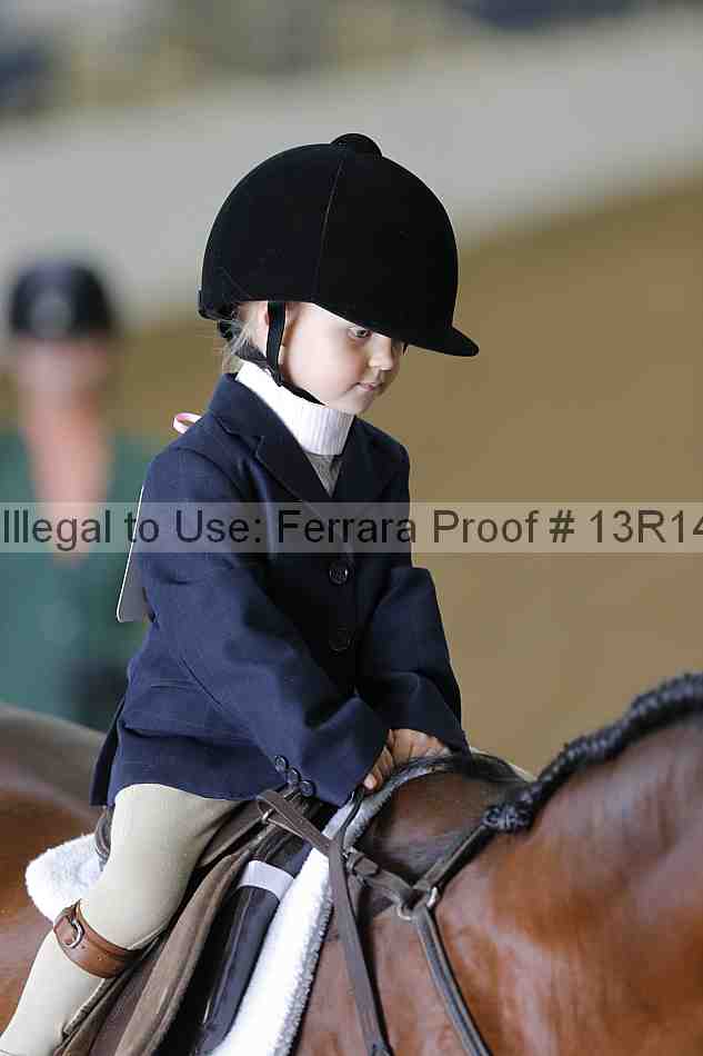 Proof 13r14_6262