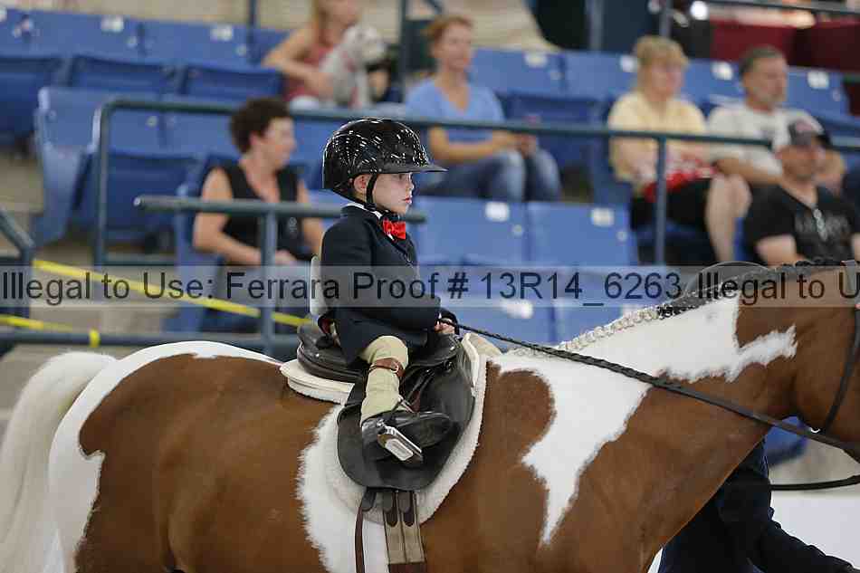 Proof 13r14_6263