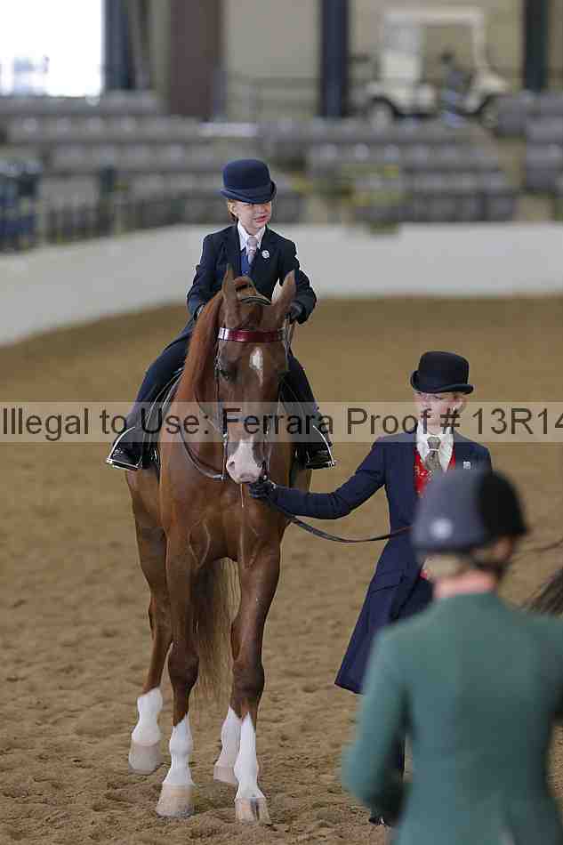 Proof 13r14_6265