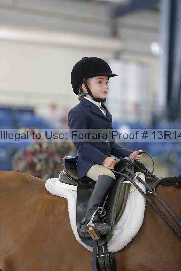 Proof 13r14_6271