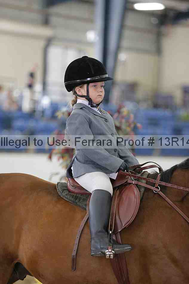 Proof 13r14_6279