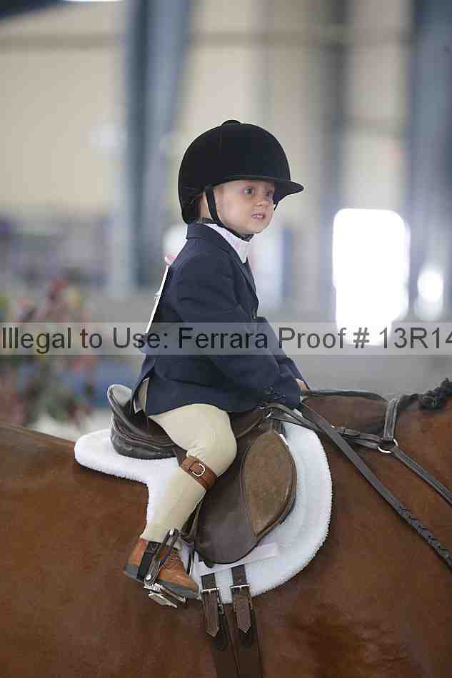 Proof 13r14_6288