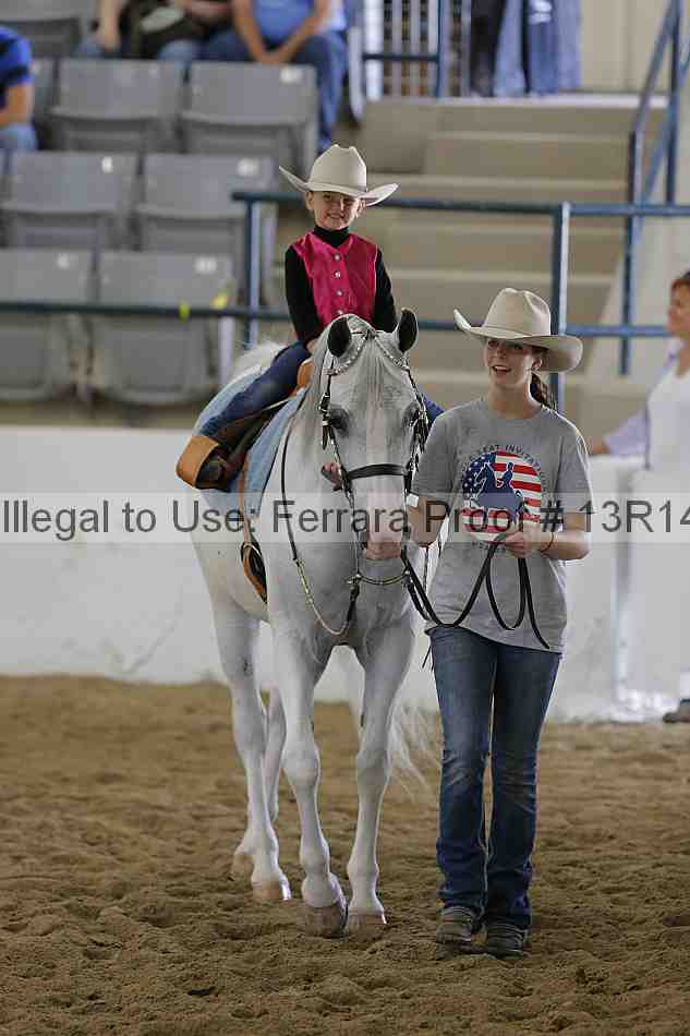 Proof 13r14_6291