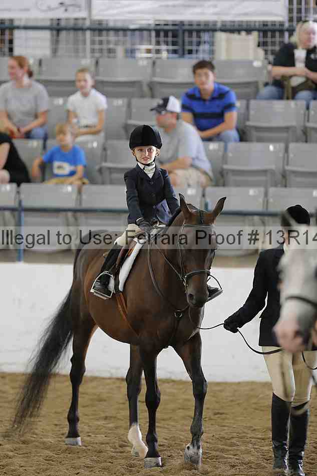 Proof 13r14_6293