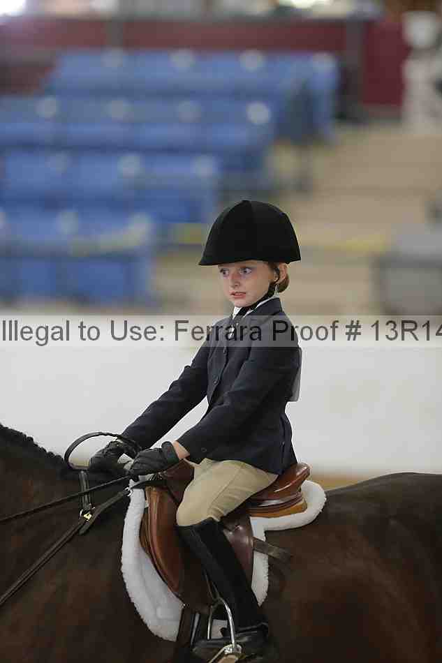 Proof 13r14_6295