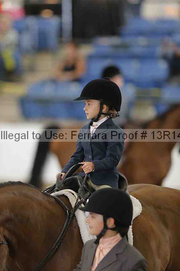 Proof 13r14_6298