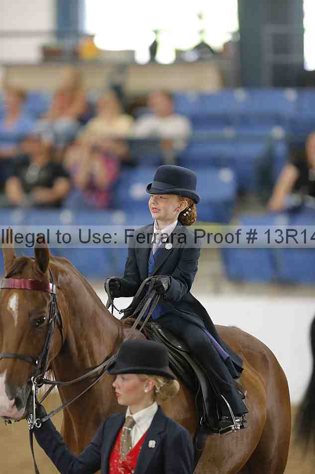 Proof 13r14_6299