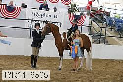 13r14_6305 proof