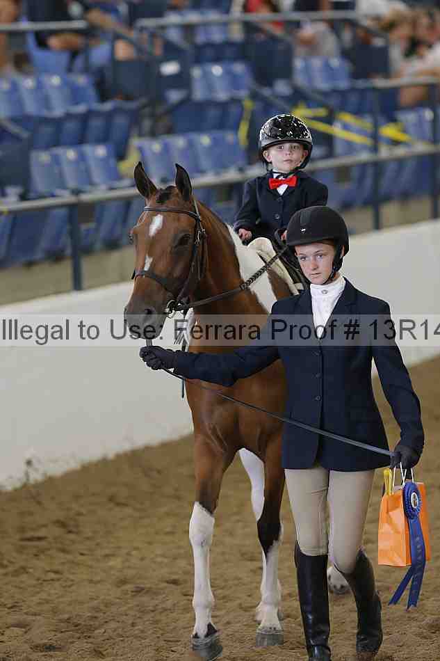 Proof 13r14_6306