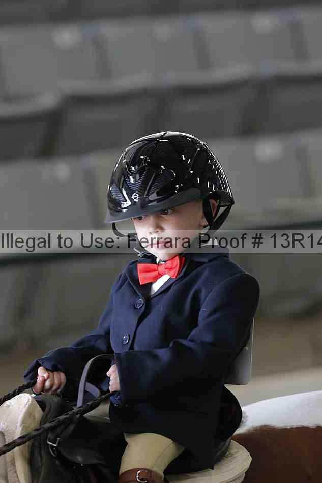 Proof 13r14_6308