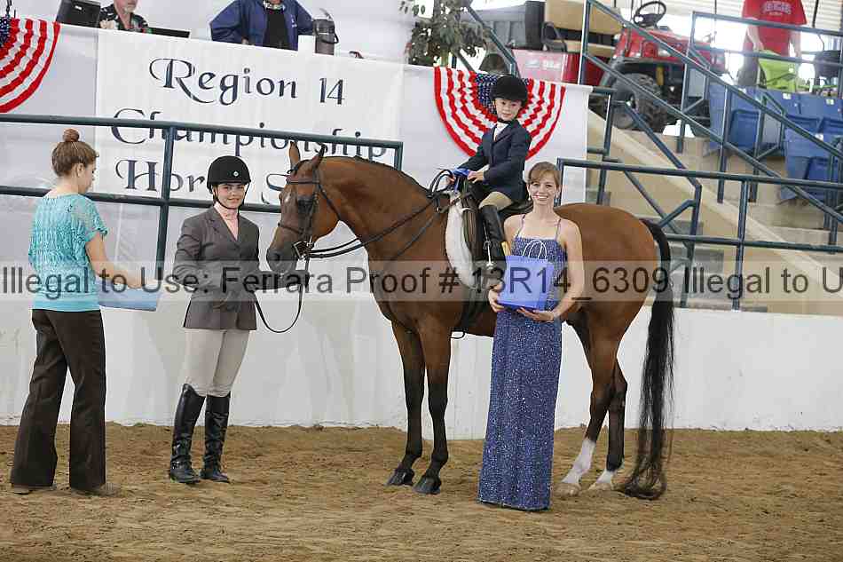 Proof 13r14_6309
