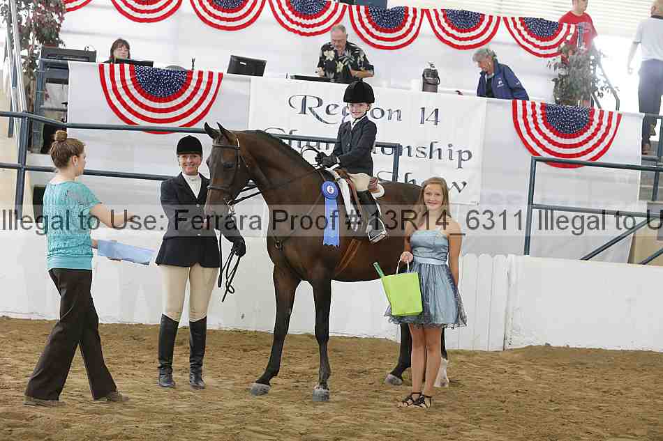 Proof 13r14_6311