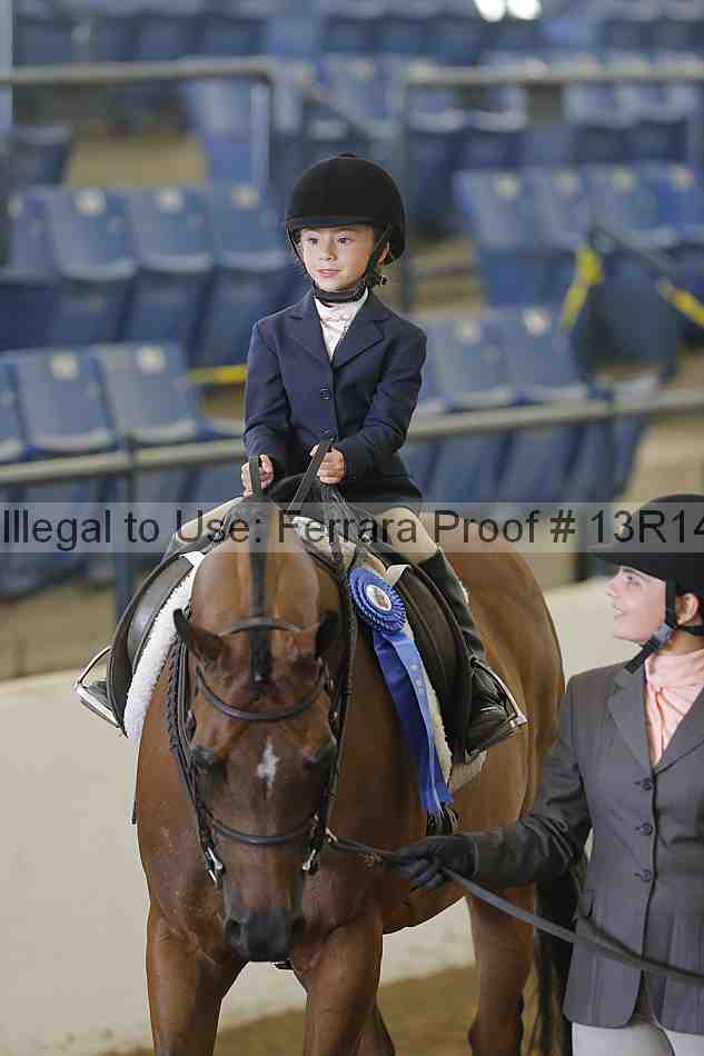 Proof 13r14_6313